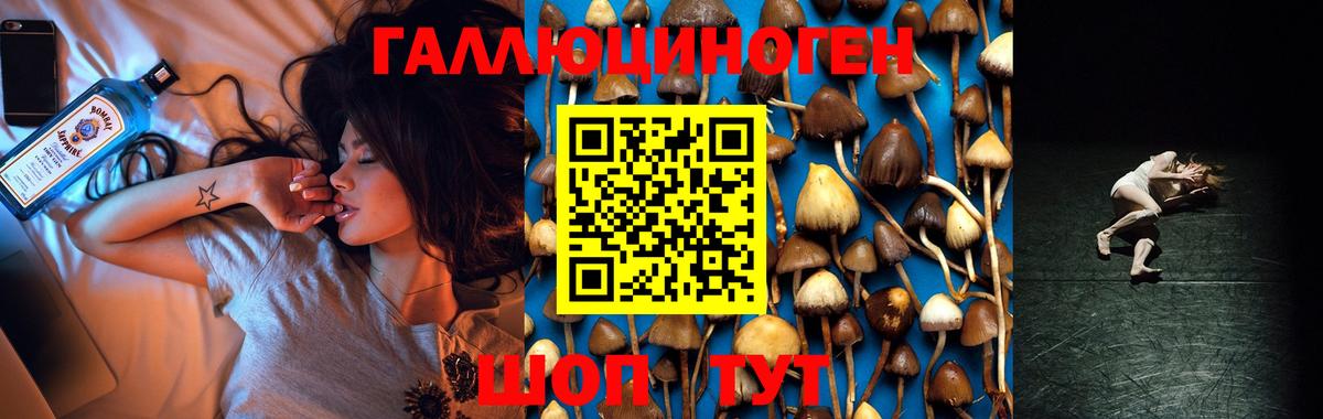 Псилоцибиновые грибы ЛСД Ухта